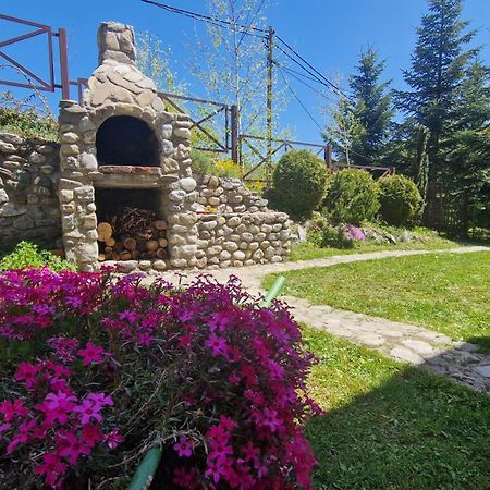Chalet Mila Mavrovo Buitenkant foto