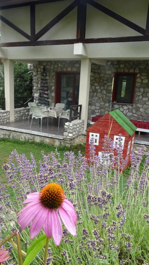Chalet Mila Mavrovo Buitenkant foto