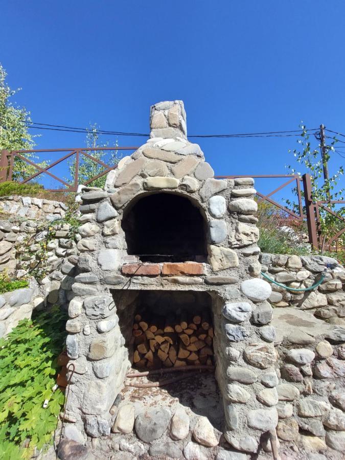 Chalet Mila Mavrovo Buitenkant foto