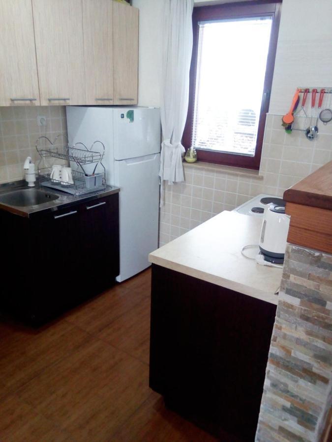 Chalet Mila Mavrovo Buitenkant foto