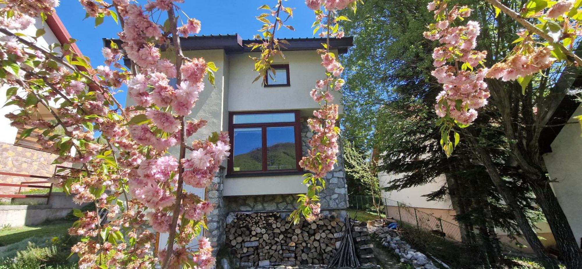 Chalet Mila Mavrovo Buitenkant foto