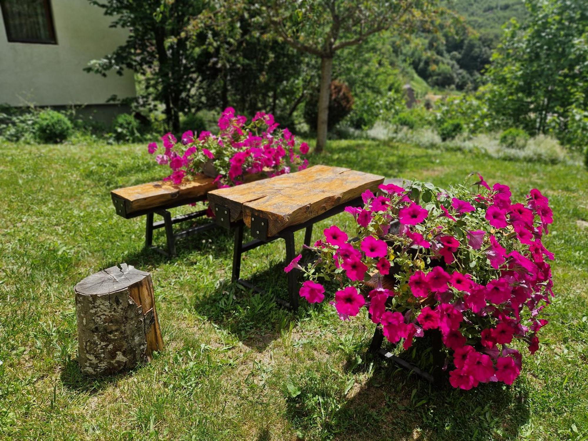 Chalet Mila Mavrovo Buitenkant foto